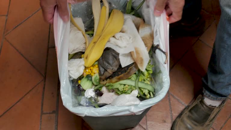 Best Residential Junk Removal  in Whitehall, MI